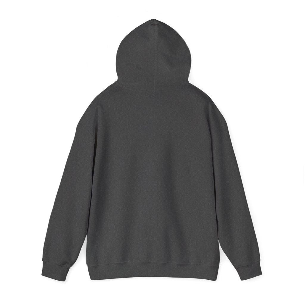 Be Still Christian Hoodie - Unisex Heavy Blend™ Hooded Sweatshirt